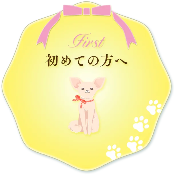 初めての方へ