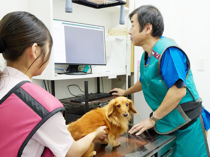 画像診断