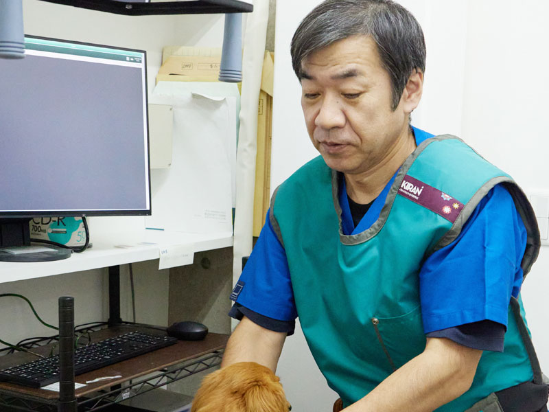 犬の診察