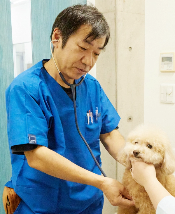 視診、触診