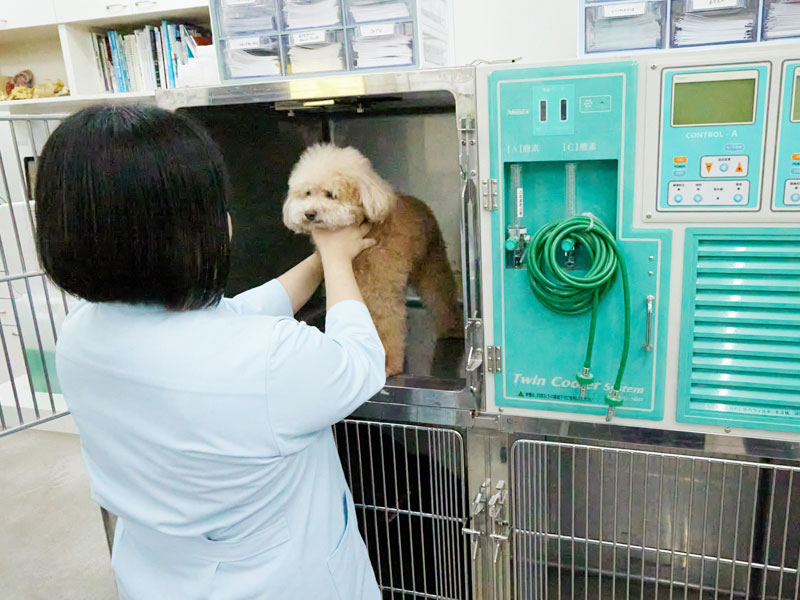入院管理
