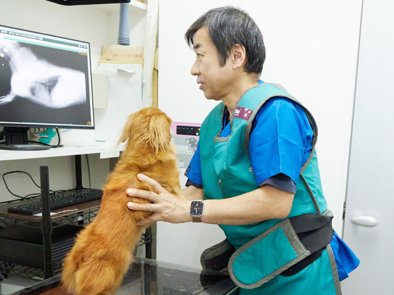 レントゲン検査