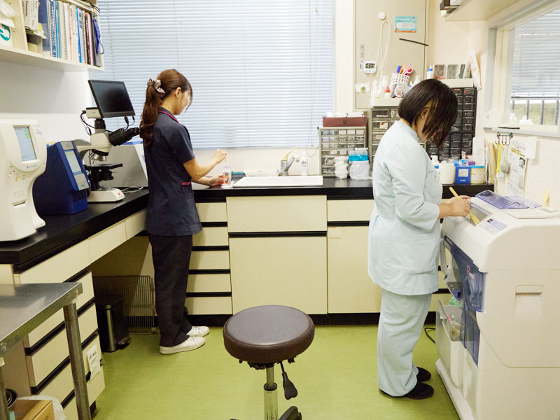薬の投薬